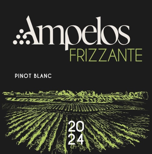 FRIZZANTE Pinot Blanc 2024 — láhev