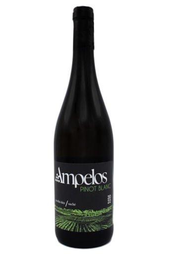 Pinot Blanc 2022 — láhev