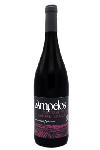 Rulandské modré Cabernet Sauvignon 2021 — láhev